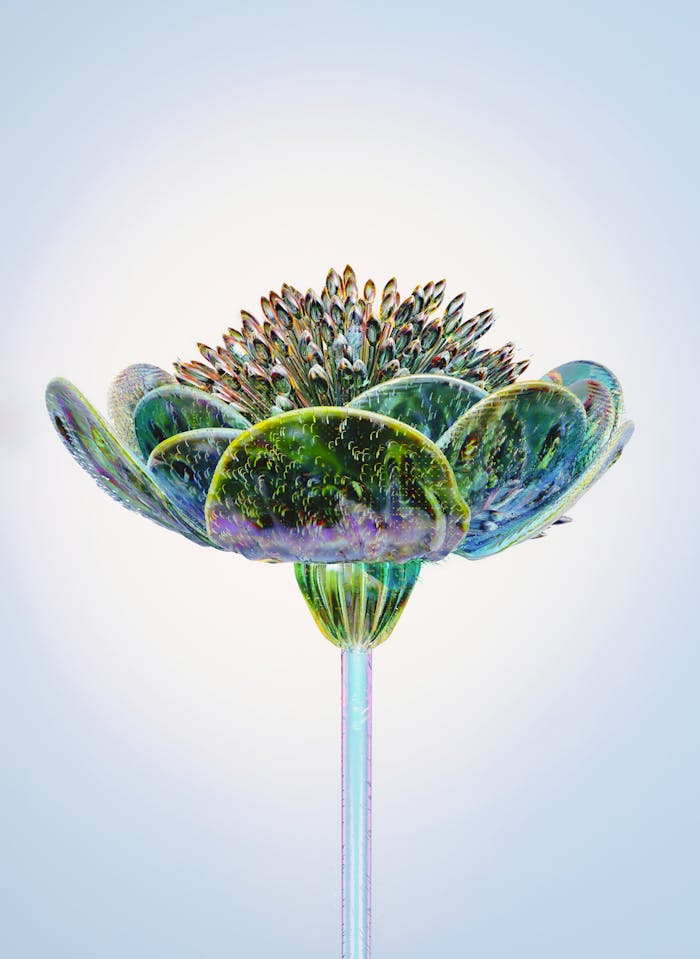 who-we-are A stunning 3D glass-effect flower highlighting technology and abstract design.